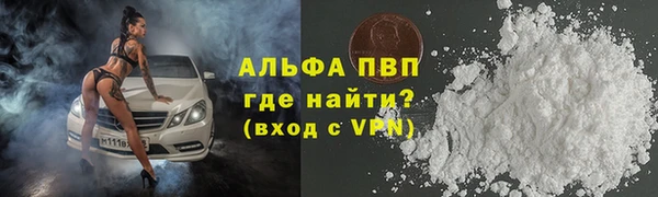 прущие грибы Баксан