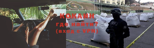 прущие грибы Баксан