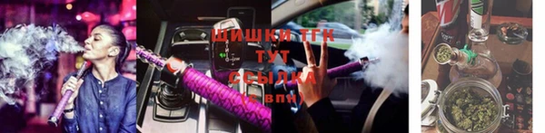 прущие грибы Баксан