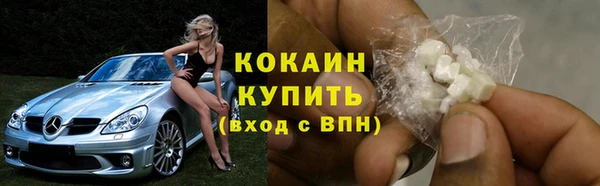 прущие грибы Баксан