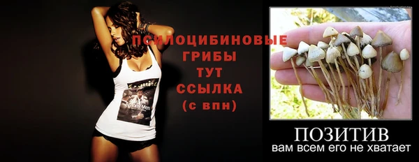 бошки Балахна