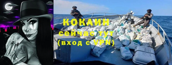 прущие грибы Баксан