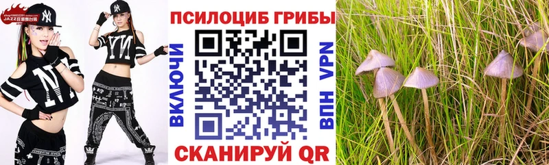 blacksprut   Новое Девяткино  Псилоцибиновые грибы Psilocybine cubensis  где купить наркоту 