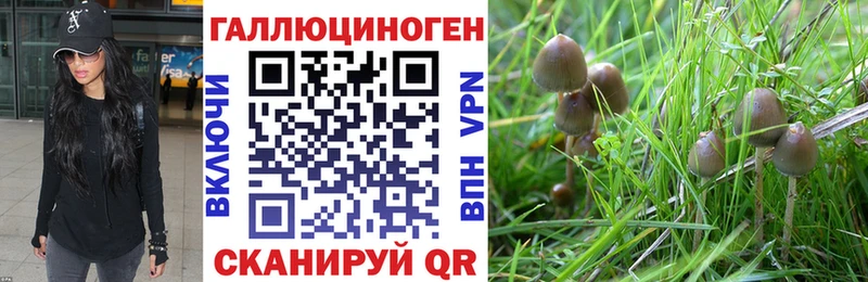 Галлюциногенные грибы MAGIC MUSHROOMS Новое Девяткино